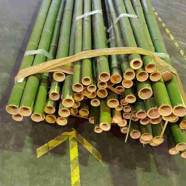 Бамбук зеленый d 30-40мм L=3м