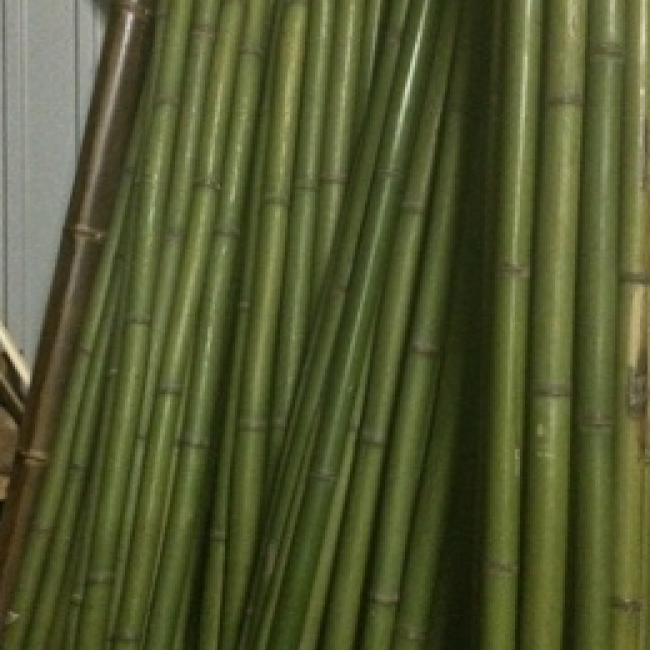 Ствол бамбуковый зеленый d 40-50мм L=3м