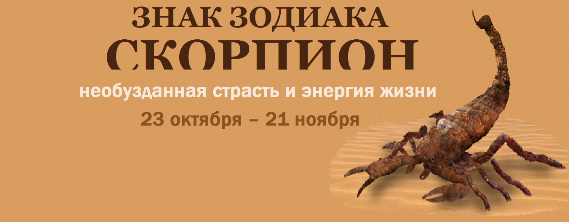 спорпион