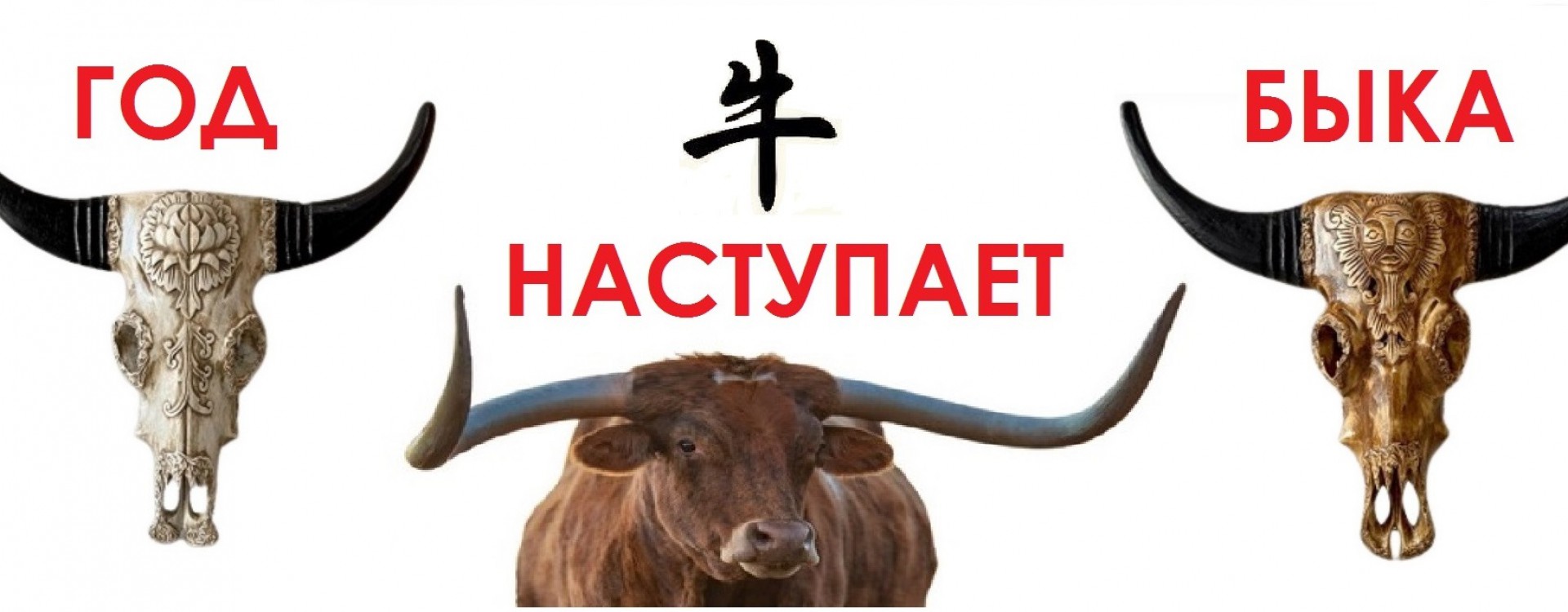 год быка
